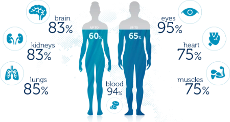 A VÍZ - élet, erő, egészség